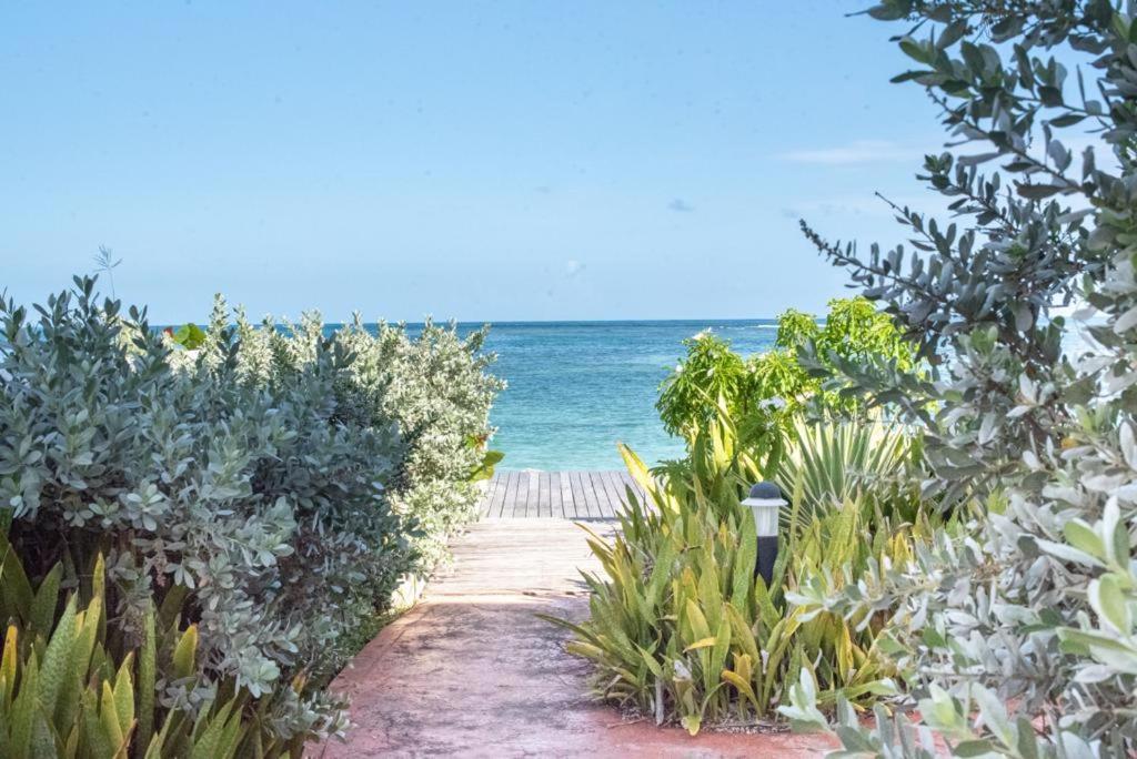 Pasha - Ocean View Apartment Sainte-Anne  Luaran gambar