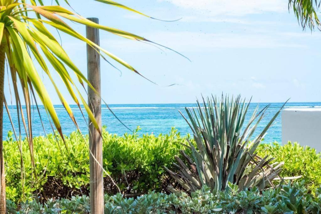 Pasha - Ocean View Apartment Sainte-Anne  Luaran gambar