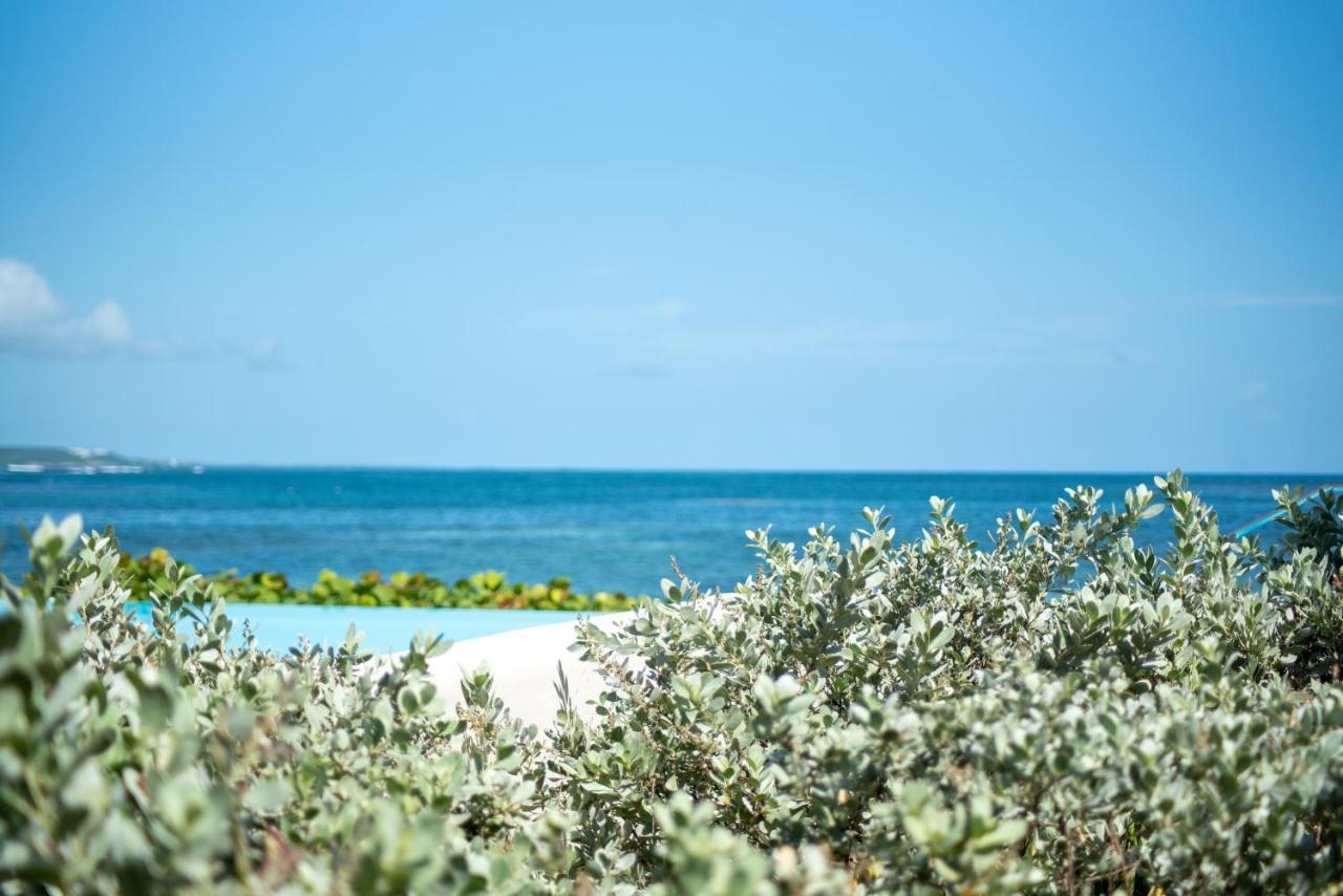 Pasha - Ocean View Apartment Sainte-Anne  Luaran gambar